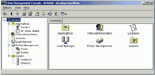 Данные, отображаемые в Citrix Management Console