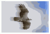 ������ blur()