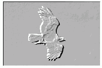 ������ emboss()