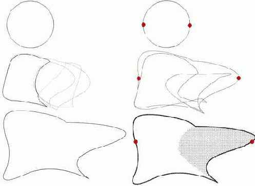 Анимация формы