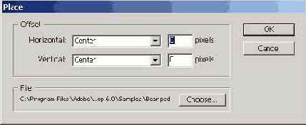 Хотя программа ImageReady может быть
