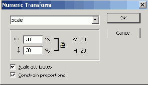 �������� �������������� � Fireworks