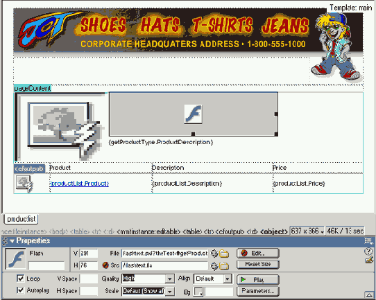 ��������� ���� Flash ��������