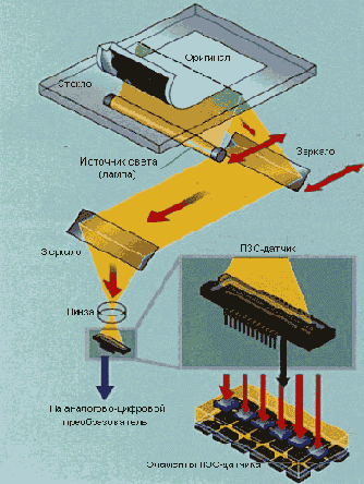 Как устроены и работают сканеры
