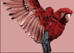 Инструменты заливки