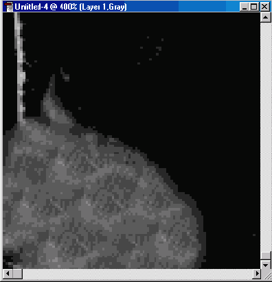 Реставрация старинных фотографий