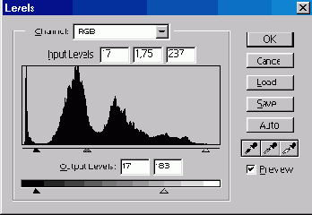 Имитация старинной фотографии