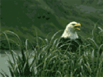 Разрешение