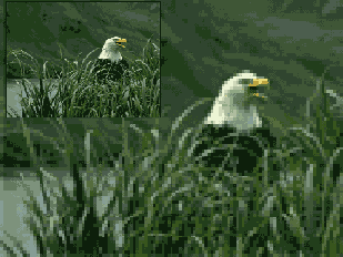 Разрешение