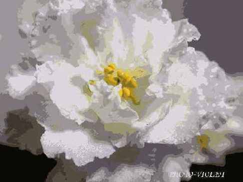 ���������� �����������