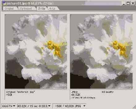 ���������� �����������