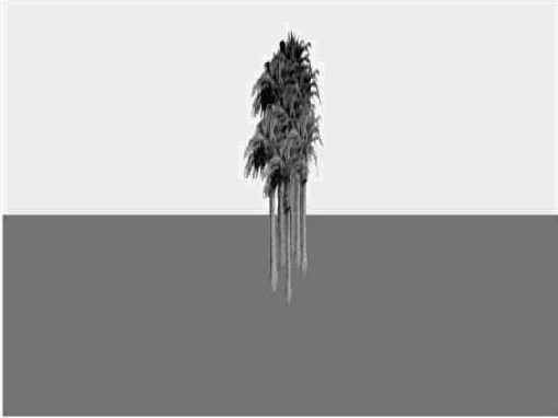 ��� �������� ���������� �������