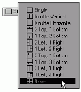 �� ������� Display Options ����