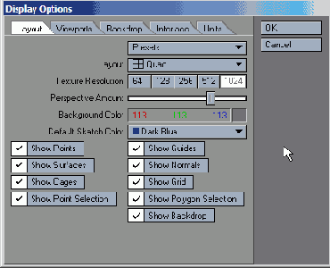 �������� ���� Display Options