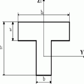 ����������� ����������� ���������