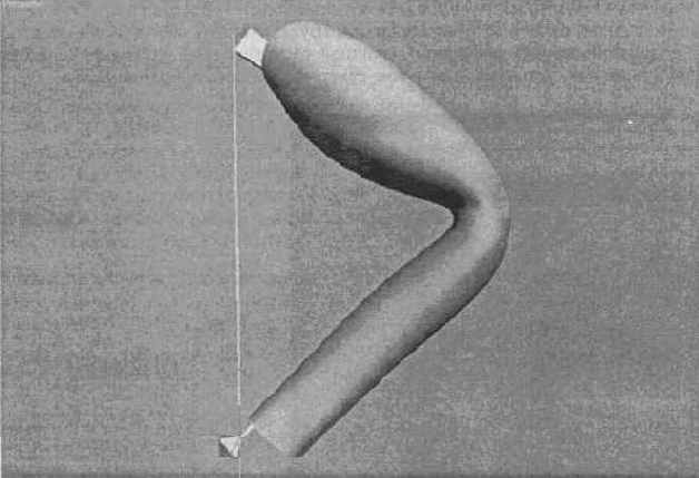 �������� ��������� ������� � �������������� Bones Pro