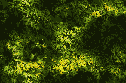 Volume Light (�������� ���������)