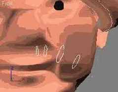 Учимся преобразовывать типы NURBS-кривых, моделируя шапку и усы