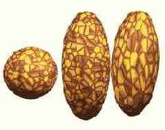 Типы проекционных координат