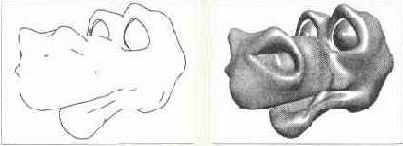 Визуализация с прорисовкой контуров