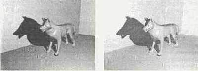 Глобальная освещенность