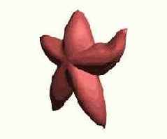 Елочное украшение «Звезда»