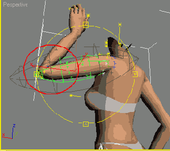 ��������� ���������� �������� ������������� � ��������� ��������