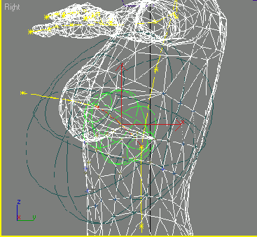 ��������� ����������� �������� ��������