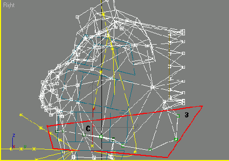 ����������� ���, ���� � ��������