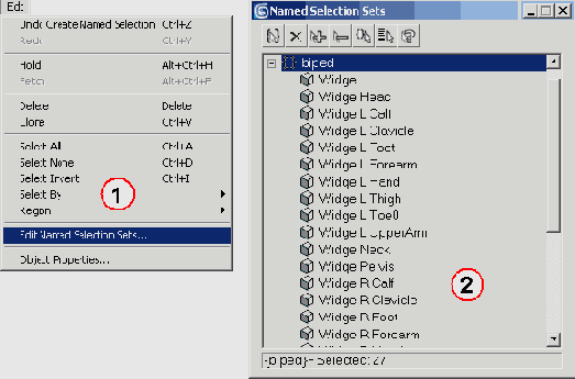 ���������� Biped