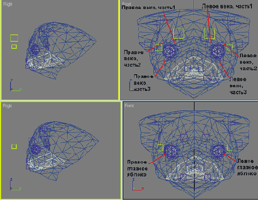 � ���� �������� ����, �������, 