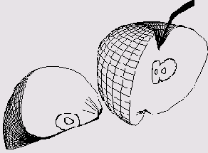 �������������� ����