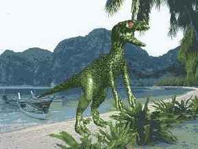 ����������� ���� � ����� ��������