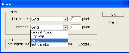 ���� Place ��� �������� ��������� ������������ �����������