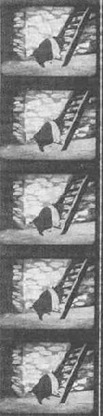 ������ ���������� ��������