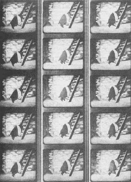 ������ ���������� ��������