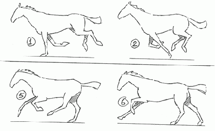 ������ ������������