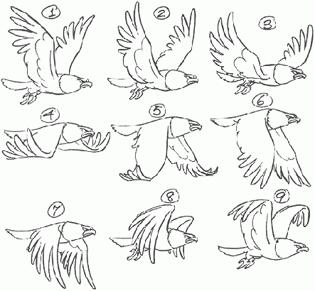 ������ ������������