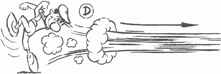 ������ ������������