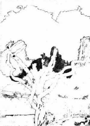 � ��������� ����� ���� �������� 