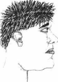 ������� ���������