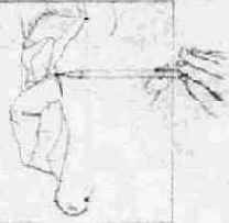 ������ ��� ������� ��������, ��������, ����������, ��� ��������.