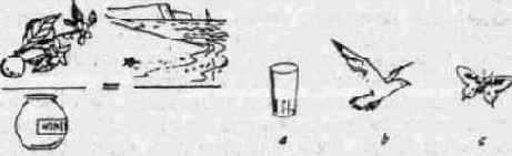 �����������, ���������� ���� � ����������