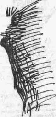 ������ �����, ����� �����