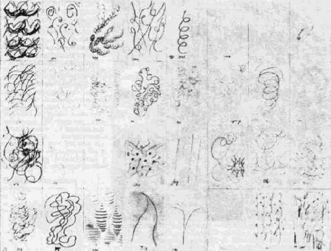 ��������� ��� ��������