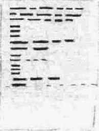 ����� ��������