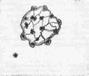 ����� ��������