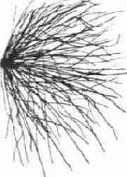 ������� ��������� �� ���������� ���������