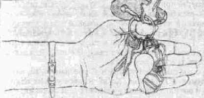 ��������� ��� ��������� ������