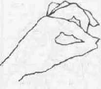 ������ ��������� ��������.